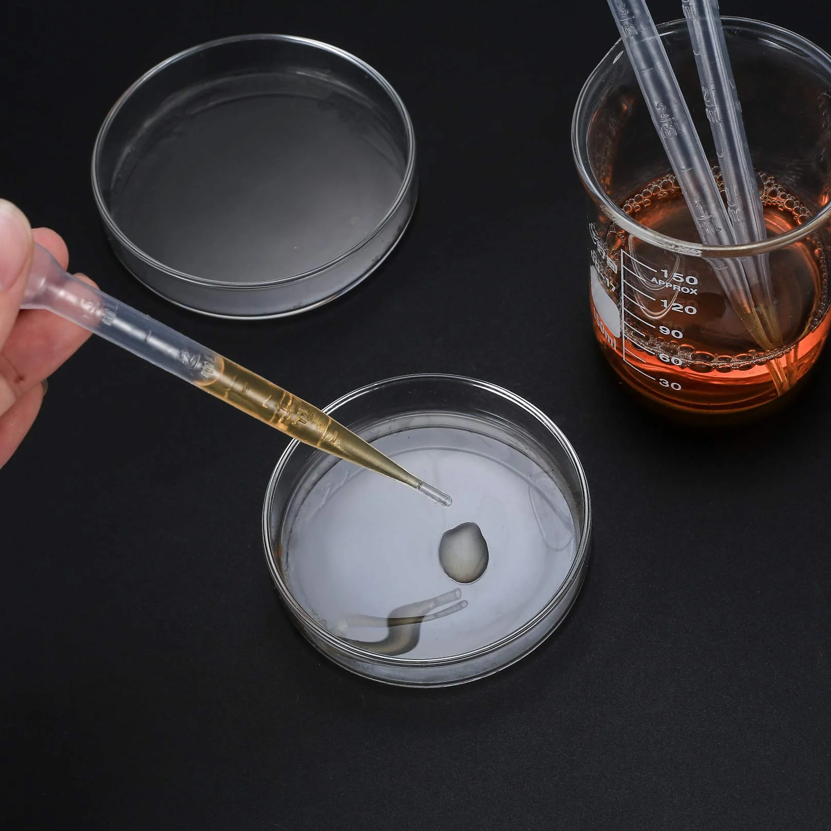 200 sztuk jednorazowych pipet 200 sztuk jednorazowych pipet 3 ml, plastikowych przeźroczystych pipet mierniczych, do stosowania w laboratoriach, klasach i eksperymentach